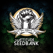 Cannabis Seeds Bank